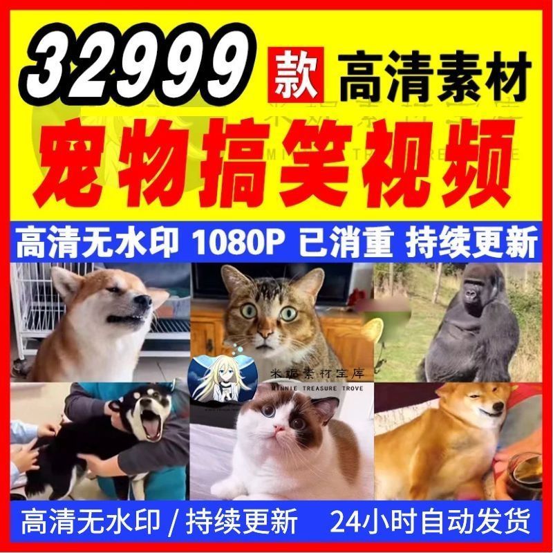 搞笑宠物短视频素材动物二哈猫狗搞怪配音爆笑素材库高教育课程